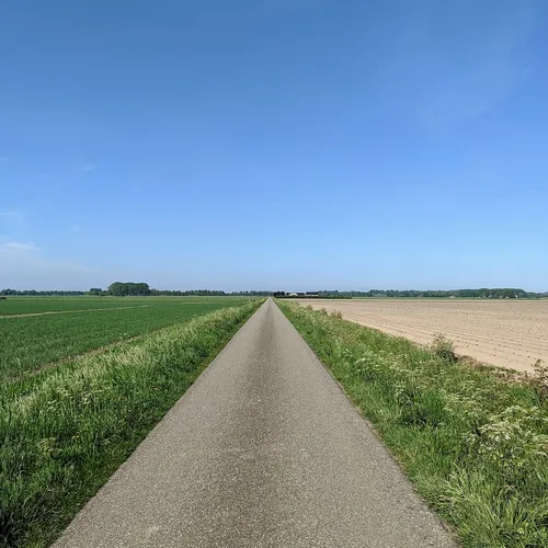 gray concrete road between green grass field under blue sky during daytime